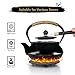 RekRang Longevity Crane Cast Iron Teapot, Japanese Style Tetsubin Tea Kettle with 4 Cups, Removable Infuser and Trivet, Antique Cast Iron Tea Set for Stove, 800ml, 28Ounce