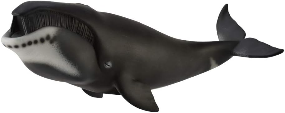 CollectA Bowhead Whale