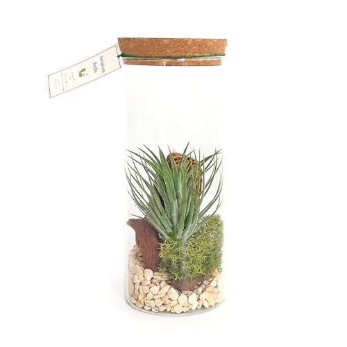 hs`mrd ۃeE `WA CIi^ u 1 RNt̃KX{g̒ɁAGAvcƑہARfނAWȃeE KxȎxۂĂ邽ߊǗȒP ΂̖₵yɂɎ邱Ƃł܂B