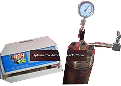 Hydrothermal Synthesis Autoclave Reactor 250ml 350Centigrade 20Mpa gas inlet outlet custom make