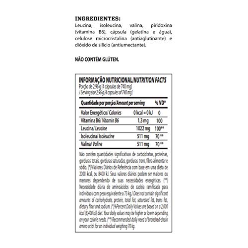 KIT SUPER WHEY 3W + GLUTAMINA + BCAA + CREATINA (1,8kg) - Baunilha - IntegralMedica