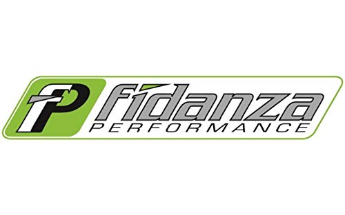 Fidanza (228591) Flywheel Friction Kit, 8.5" #1