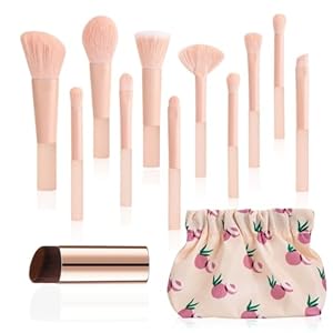11 Pcs Mini Travel Makeup Brush Set With Case, Professional Premium Synthetic Kabuki Powder Foundation Blush Fan Highlight Eye Blending Shadows Concealer and Lips Brush Kit for Travel