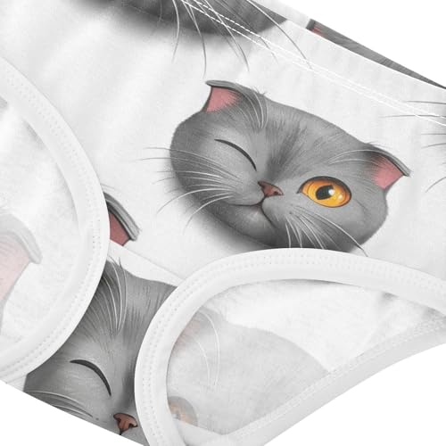 Joisal Aesthetic Toddlers Underwear Floral 2t Cotton Cute Panties Girl Cute Grey Scottish Fold Cat Briefs Underpants4