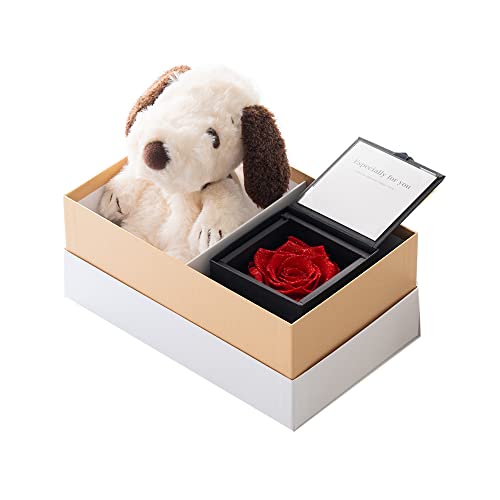 THE WOW Xk[s[[YMtgZbg ybsOΉ/bZ[WJ[hΉz ͂Ȃ ʂ o t[Mtg Xk[s[ vU[uht[ WG[o ʂ o v|[Y KN [Y  l` }XRbg