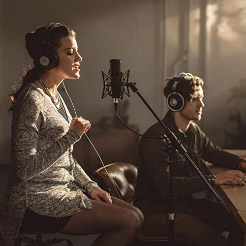 Akg P120 Microfono a Condensatore con Diaframma da...