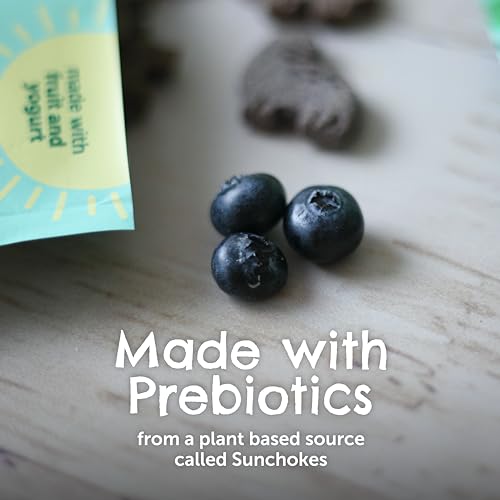 image for Beech-Nut Toddler Snacks, Dino Biscuits with Prebiotics, Blueberry Yog