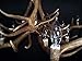 REAL ELK ANTLER CHANDELIER, TWO TIERS, 15 LIGHTS, SHED ANTLER ART, ELK ANTLER COVERED SOCKETS HANDMADE, EXTRA LARGE, 52