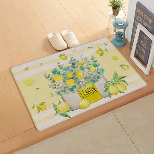 Eucalyptus Lemon Antifatigue Kitchen Bath Door Mat Cushioned Runner Rug,Washable Welcome Floor Sink Mat,Waterproof & Non-Slip Standing Doormat for Kitchen,Retro Summer Tropical Bottle Flower 24