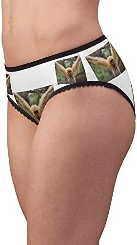 Gibbon Panties, Gibbon Underwear, Briefs, Cotton Briefs, Funny Underwear, Panties For Women
