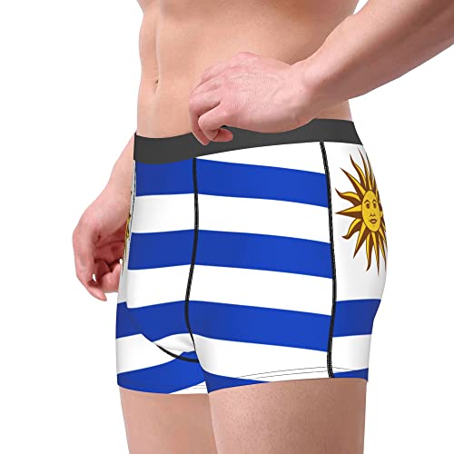 Flag map of Saint Lucia Mens Boxer Briefs Underwear Breathable Stretch Boxer Trunk with Pouch for Men, Youth4