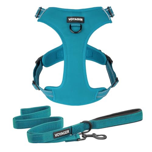 Voyager Dog Harness Dual Leash Attachment No-Pull Control Adjustable Soft but Strong Pet Harness for Medium and Large Dogs with 3M Reflective Technology, Leash Set Turquoise Nylon, S (Chest: 16-20')