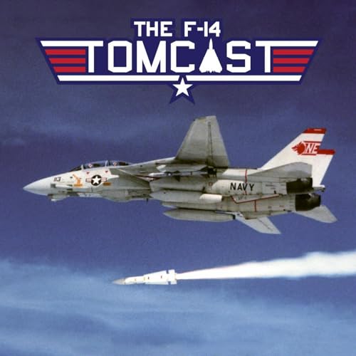 22. Firing the AIM-54 in Anger