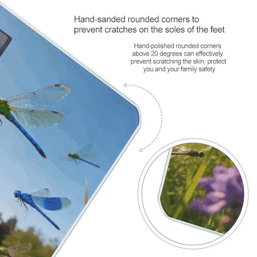 Báscula digital de baño Dragonfly Meadow con sensores de alta precisión miniatura 4