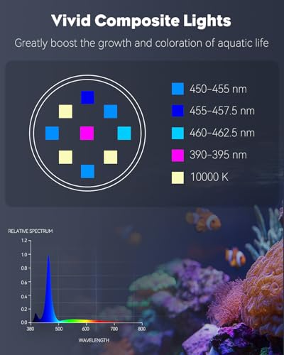 Image of Pawfly 15 W LED Aquarium Light with Brilliant Blue White Red Lights for 1 to 10 Gallon Fish Tank