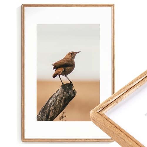 16x24 Poster Frame, Natural Solid Oak Wood Picture Frame|HD-Tempered Glass