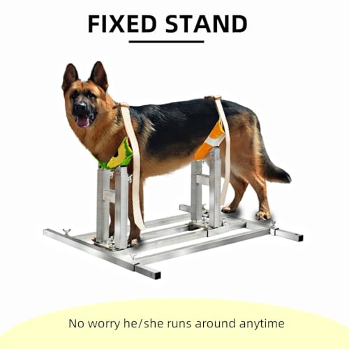 Dog Breeding Stand(Multi-Specification) Adjustable Height and Length,Stainless Steel Dog Breeding Stand,Disabled Dog Stand up (SLIVER,M)
