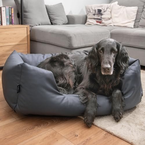 4L Textil Mario Hundebett Kunstleder Hundekorb aus Kunstleder Wasserfestes Hundebett mittelgroße Hunde Hundesofa (100x70 cm, Graphit)