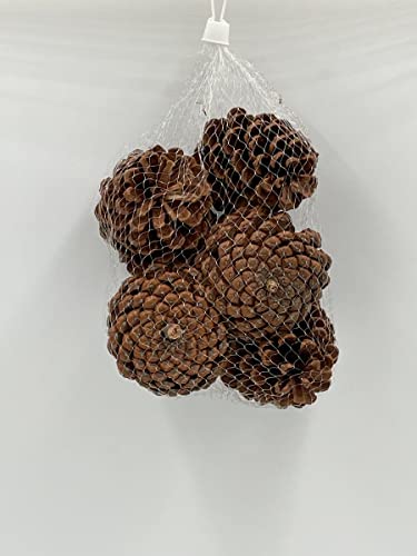 PERAGA GARDEN Assorted Pines 200 – 250 g Christmas Decorations