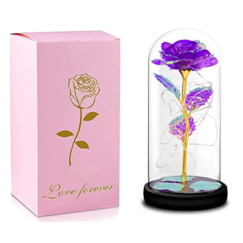 FairyHouse͂Ȃ o LEDCg dr 24KS[h[Y KN ԑ t[Cg t[Mtg o^Cf[ ̓ a LO NX}X j v[g   ޏւ̑蕨 (p[v[Y+J