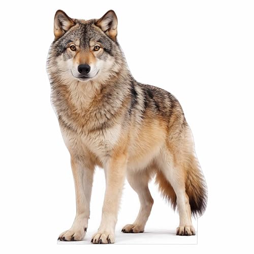 ATOZSIGN Life Size Wolf Cutout 2 ft Animal Themed Party Decoration for Birthday and Themed Party