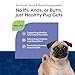 NaturVet - No Scoot for Dogs - 60 Soft Chews - Plus Pumpkin - Supports Healthy Anal Gland & Bowel Function - Enhanced with Beet Pulp & Psyllium Husk