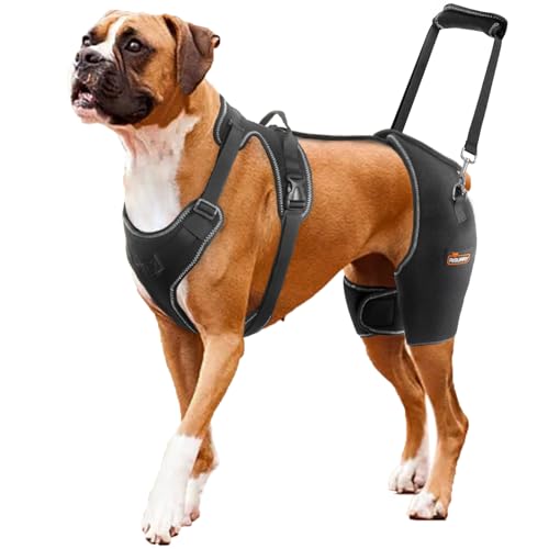 CHAMIN/RISURRY Dog Hip Brace Support for Hip Dysplasia, Arthritis...
