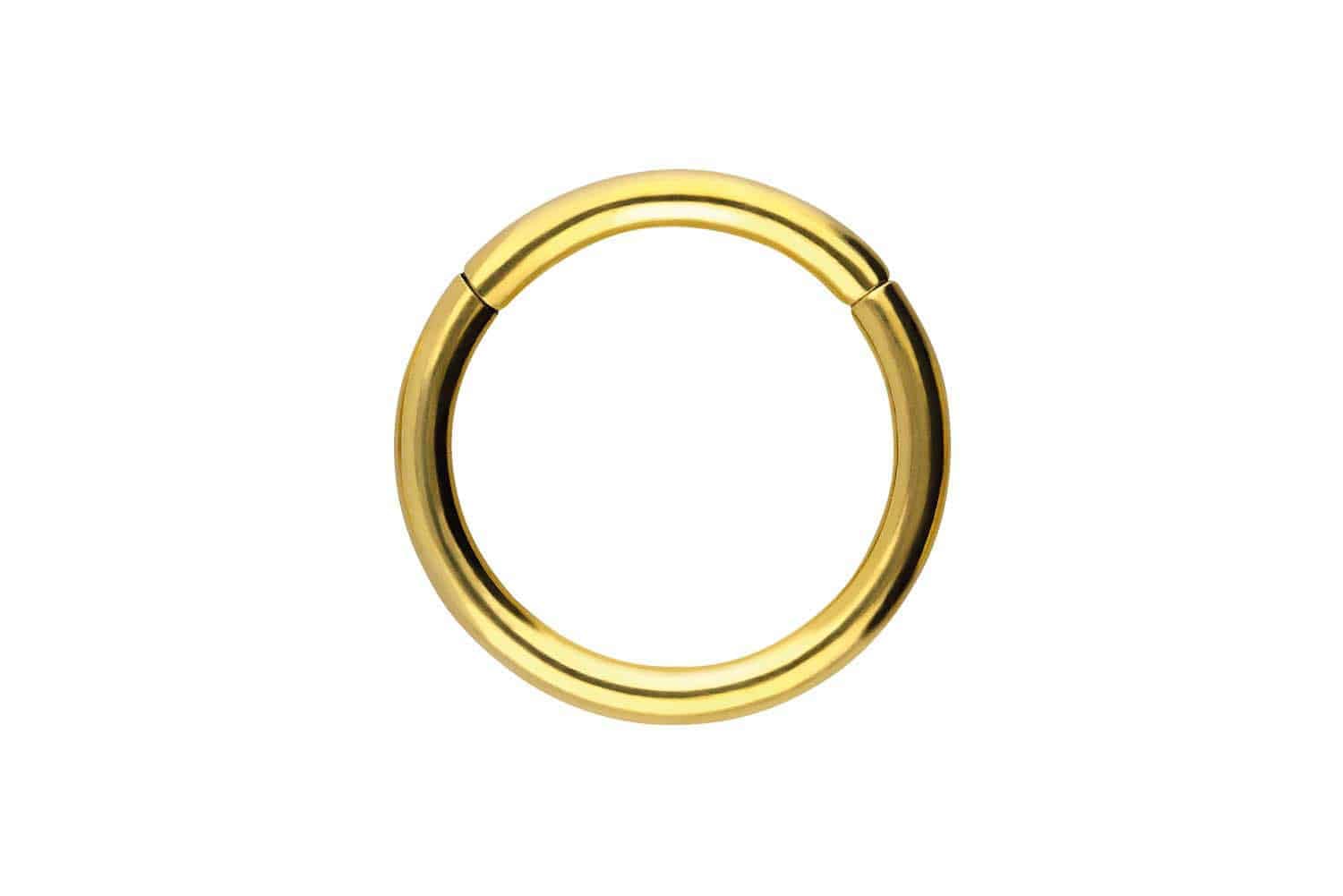 PIERCINGLINE Segmentring Clicker aus Chirurgenstahl - Piercing Ring in Gold, Silber, Rose, Schwarz oder Blau - für Nase, Septum, Ohr, Helix oder Tragus