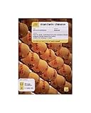 Mandarin Chinese. 2 CD and coursebook - Elizabeth Scurfield [KSIÄ??KA] - Elizabeth Scurfield