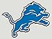 WinCraft NFL Detroit Lions Perfect Cut Color Decal, 8