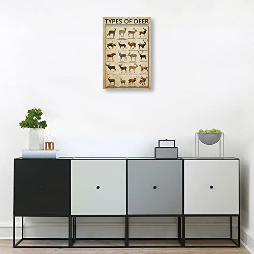 Deer Wall Art Knowledge Poster Canvas Framed Wall Art Deer Prints Picture Poster Educational Wall Art Vintage Painting Animal Posters Framed (12X18 Inch) #TOP3