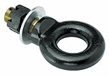 Draw-Tite Tow Ready 63022 2-1/2' Diameter Lunette Ring, black