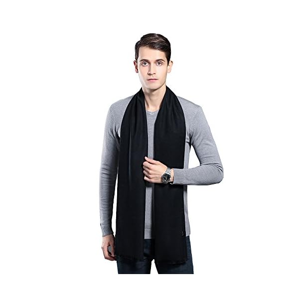 Mens Scarves Winter Warm Fashion Formal Classic Long Soft Scarf for Men Holiday Gift