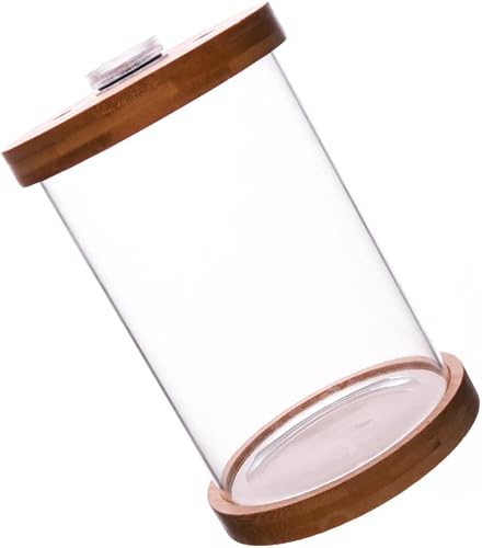 POPETPOP Pequeño tanque de peces Betta con iluminación LED, base de bambú para acuario de pecera, accesorios de pecera para decoración de escritorio