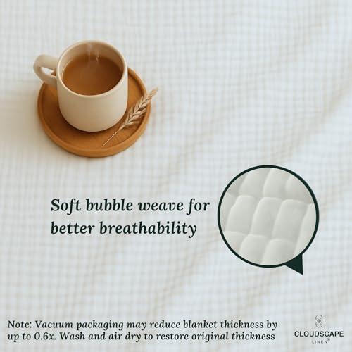 Cloud Scape Queen 8-Layer Muslin Blanket