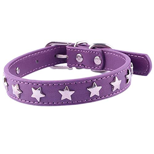 Collier en cuir Hollywood parme pour chiens au tour de cou de 34 à 45 cm