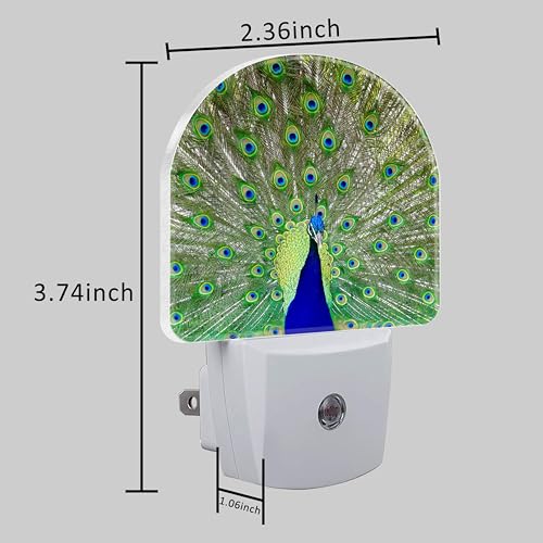 Image of Peacock Night Light with Dusk to Dawn Sensor for Room Decor, Hallway, Kitchen, Bathroom, Nursery, Stairs