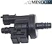 MINOOM 0280142478 Vapor Canister Purge Valve Solenoid Valve Compaitble with Jaguar XKR 5.0L 5000CC V8 GAS DOHC Supercharged 2011 Part No.#0280142517丨BW93-9C915-AA丨C1B1-9G866-AA