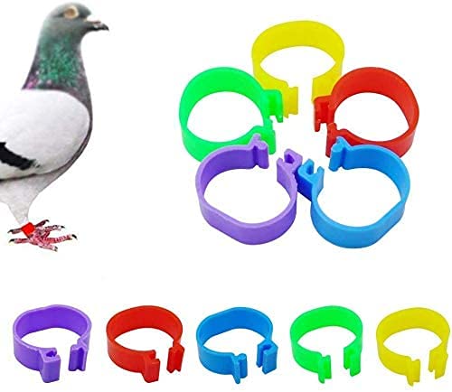 HEEPDD 100x Nummerierte Vogelbeinringe 8mm – 6 Farben, 001-100 – Für Tauben, Hühner & Papageien – Wiederverwendbar