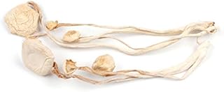 Enoki Mushrooms, 1 LB Bag