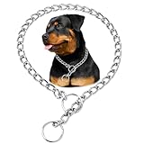 Silver Dog Chain Collar, Heavy Duty Dog Necklace, for Training, Chew Proof Martingale Puppy Dog Chains for XXS XS Small Medium Large Big Dogs