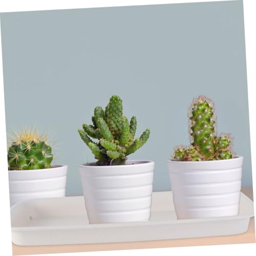 Soucoupes rectangulaires pour pots de fleurs Healvian avec plateaux à eau