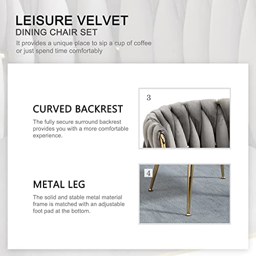 Nrizc Woven Dining Chairs Set Of 2, Velvet Upholstered Dining Chairs With Gold Metal Legs, Modern Accent Chairs For Living Room, Dining Room, Kitchen (Grey) #TOP2