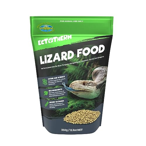 lizard food
