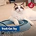 Coastal Pet Turbo Track Cat Toy - Cat Ball Toy & Racetrack - Easy Assembly - Slate Blue (1 Pack)