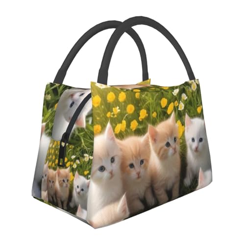 �L�� �����`�o�b�O �ٓ��� ��e�� �y�� �ۗ� �ۉ� ���� �ʋ� �ʊw �܂肽���� ��l�p �j���p �����p �q���p