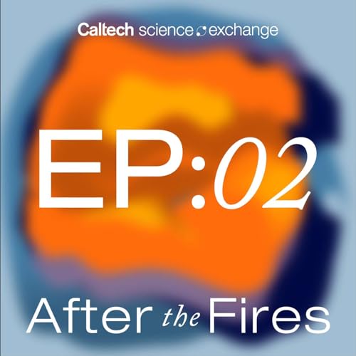 Resiliency and Rebuilding