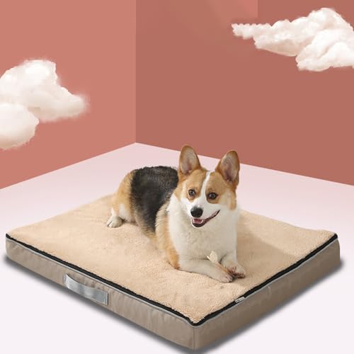 [ADSNS] L J[2  xbh 100X75 ӂӂ Lpybgxbh ~ NbVg ΍ 􂦂 QSnǂ XNGA^ ӂӂ ~ 􂦂 ybg\t@[ybgxbh L  xbh ybgNbV ^p