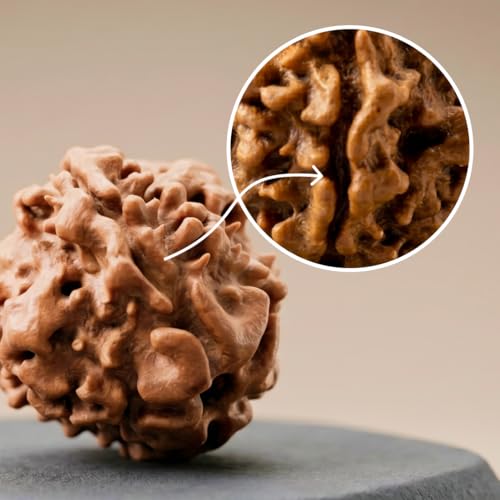 Image of Divine Hindu 1 Mukhi GOL Rudraksha | GJSPS Certified | Original Nepal Ek Mukhi Round Bead | Single Face Rudraksha for Moksha, Meditation & Shiva Devotion
