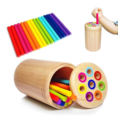 Montessori Wooden Learning Color Sorting Toys for Toddlers Age 1-3, Fine Motor Sensory Matching Games, Busy Board for 18 Month Old Boys & Girls